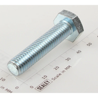 Sealey Hex head set screw m10x45mm single SS1045.S