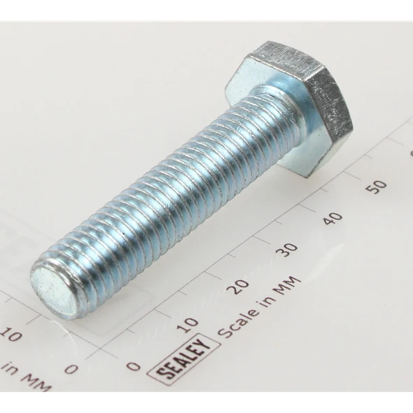 Sealey Hex head set screw m10x45mm single