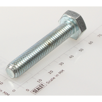 Sealey Hex head set screw m10x55mm single SS1055.S