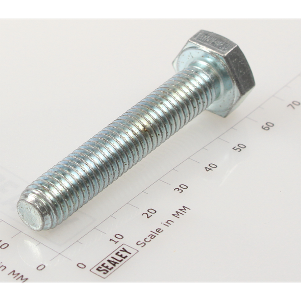 Sealey Hex head set screw m10x55mm single