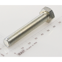 Sealey Hex Head Set Screw M10 X 60 Zinc SS1060.S