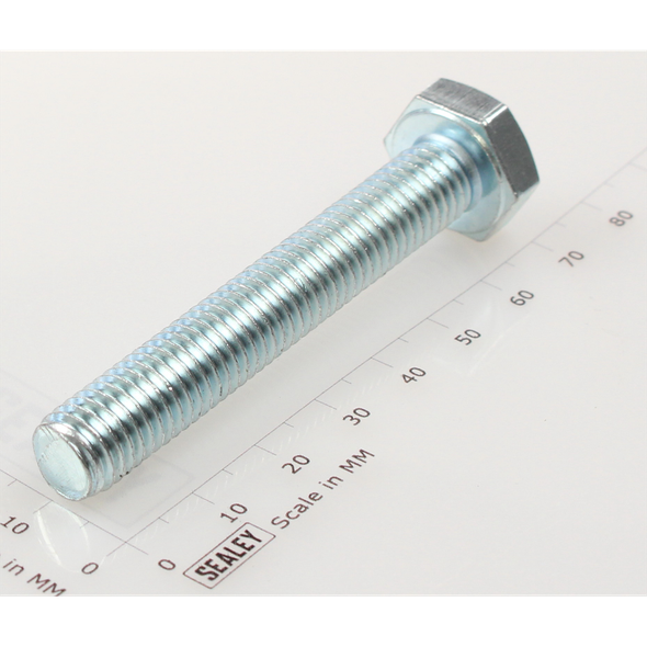 Sealey Hex head set screw m10x65mm single
