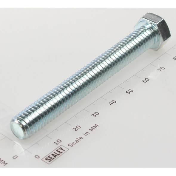 Sealey Hex head set screw m10x75mm single