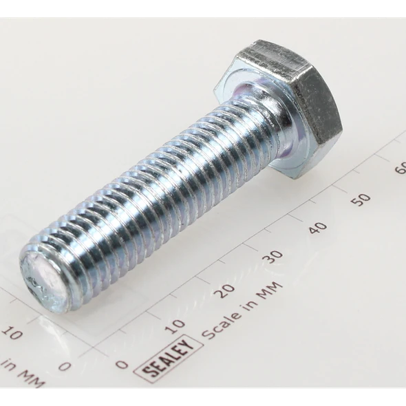 Sealey Hex head set screw m12x45mm single