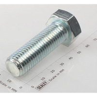 Sealey Hex Head Set Screw M16 X 50 Zinc SS1650.S