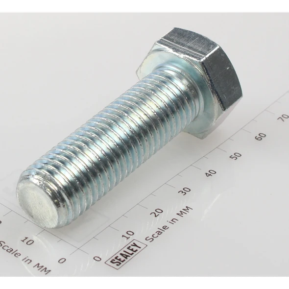Sealey Hex Head Set Screw M16 X 50 Zinc