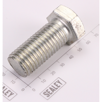 Sealey Hex Head Set Screw M20 x 45 Zinc SS2045.S