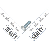 Sealey Hex Head Set Screw M5 X 12 Zinc SS512.S