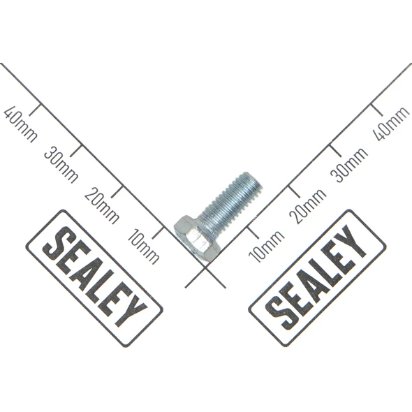 Sealey Hex Head Set Screw M5 X 12 Zinc