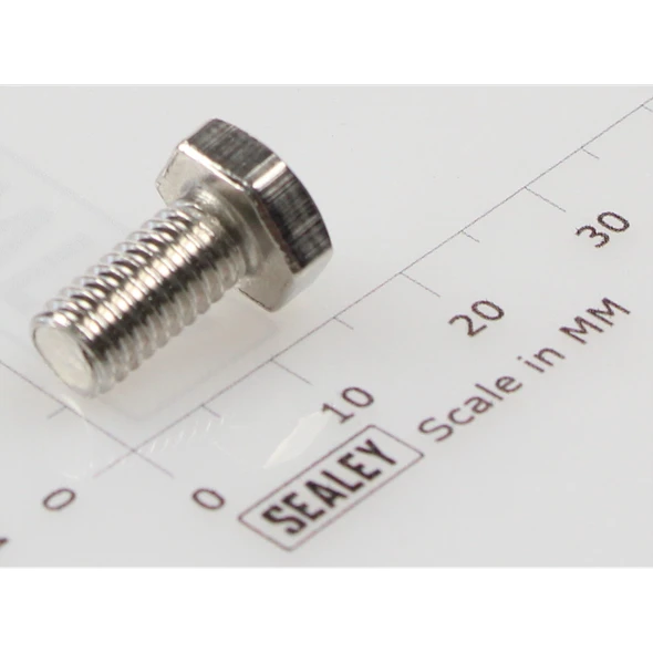 Sealey Hex Head Set Screw M6 X 12 Zinc