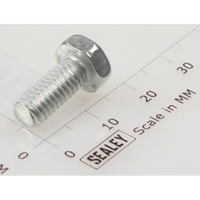 Sealey Hex head set screw m6x14mm single SS614.S