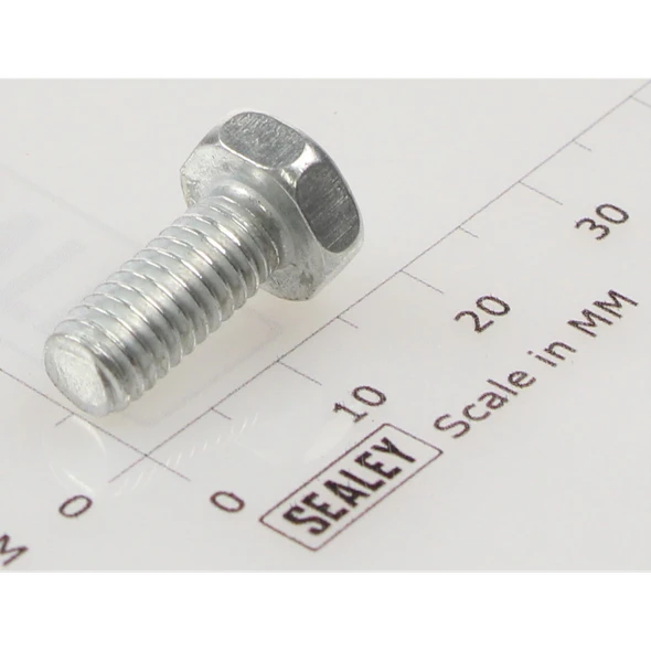 Sealey Hex head set screw m6x14mm single