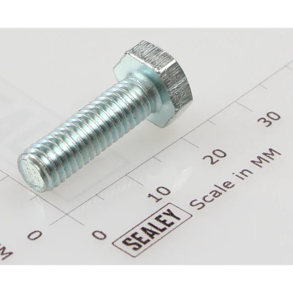 Sealey Hex head set screw m6x20mm single