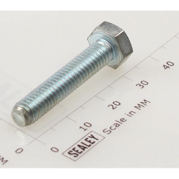 Sealey Hex head set screw m6x30mm single
