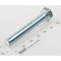 Sealey Hex Head Set Screw M8 X 55 Zinc SS855.S