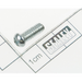 Sealey Screw