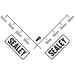 Sealey Screw M2x4
