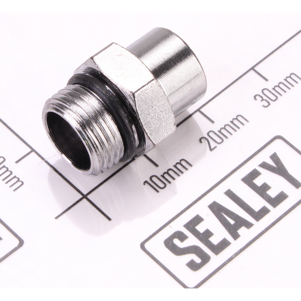 Sealey Seal screw
