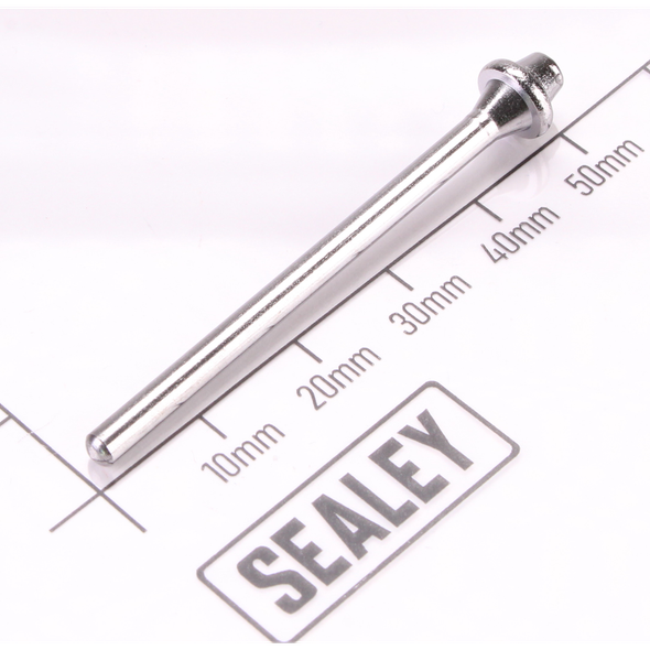 Sealey Seal screw