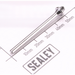 Sealey Seal screw