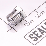Sealey Air valve screw SSG502.V2-20