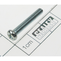 Sealey Rd head s/t screw m3.8 x 20 STF42.36