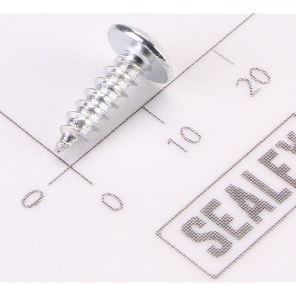 Sealey Screw