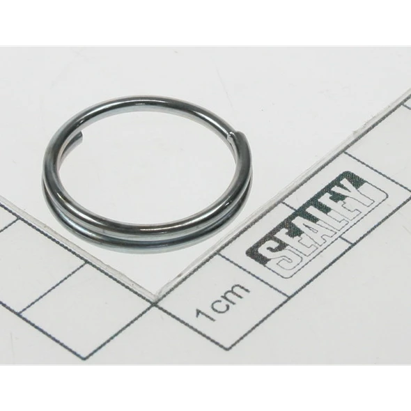 Sealey Chain ring