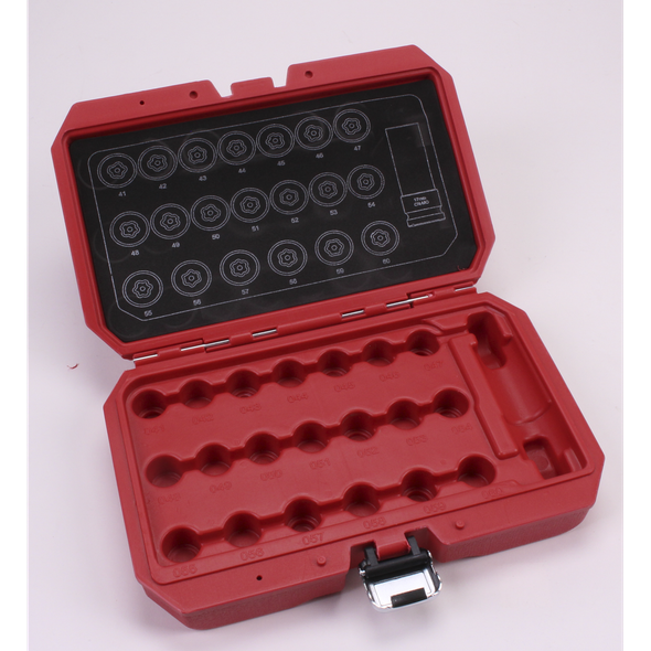 Sealey Blow Mould Case