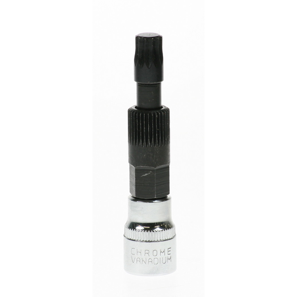 Sealey Spline socket bit 3/8"dr m10
