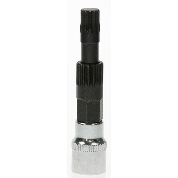 Sealey Socket bit 3/8"dr spline m10-33t x 83mml