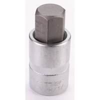 Sealey Hex socket bit 17mm 3/8"sq dr TBT07.V2-10