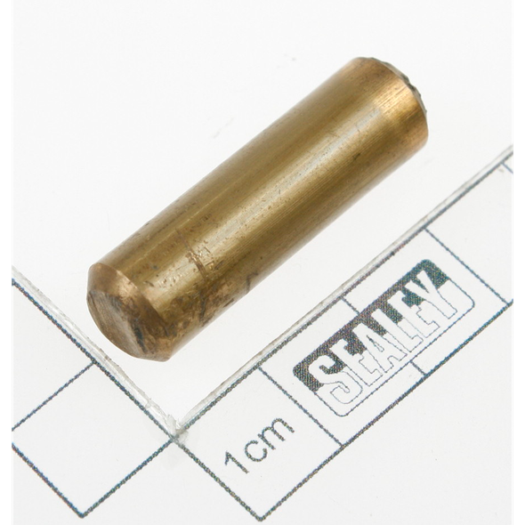 Sealey Pivot Pin