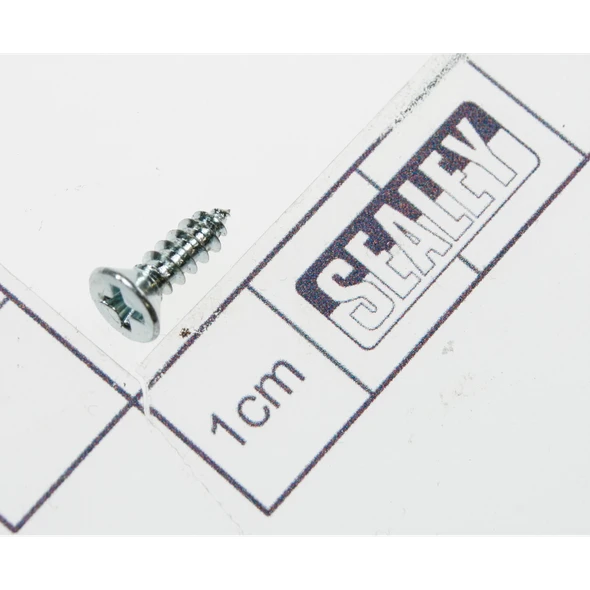 Sealey Csk head s/t screw m2.8 x 10