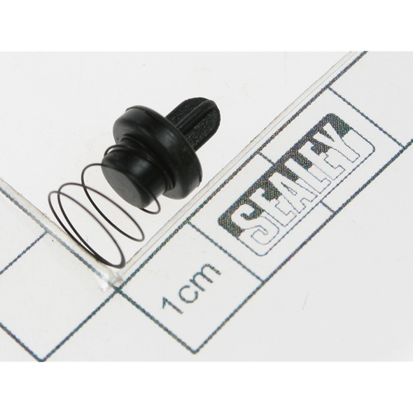 Sealey Check valve