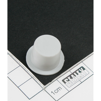 Sealey Spout cap
