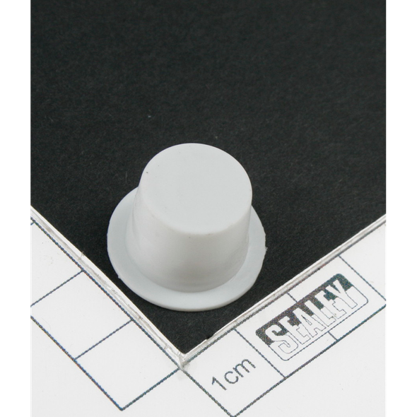 Sealey Spout cap