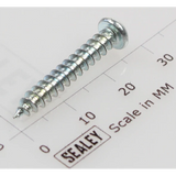 Sealey Rd head s/t screw m4x25 TS12CZ.V2-13