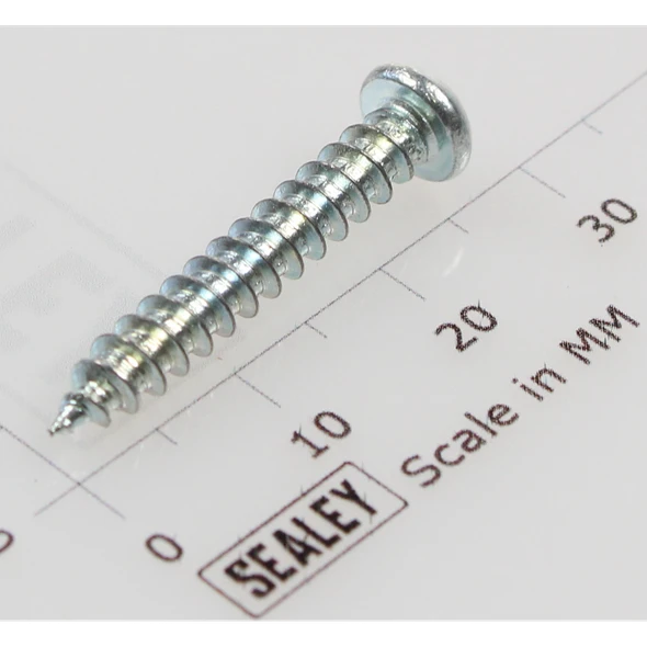 Sealey Rd head s/t screw m4x25