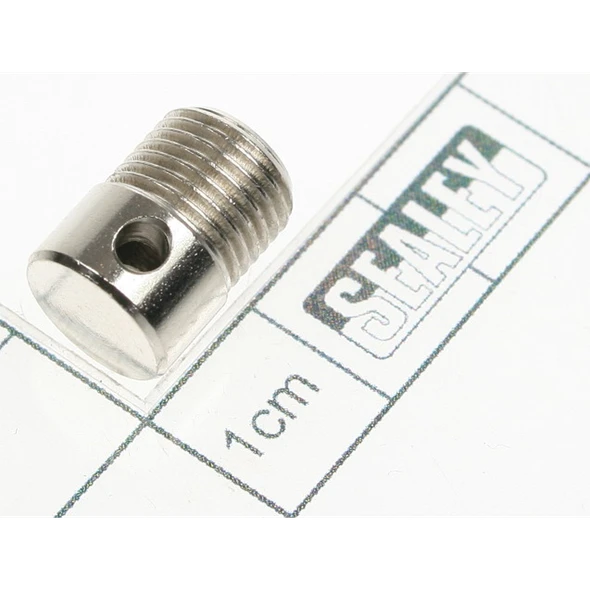 Sealey Plug