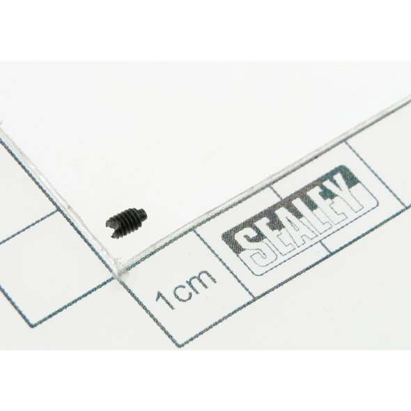 Sealey Screw
