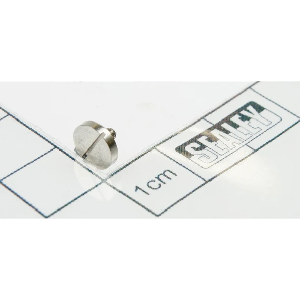 Sealey Screw
