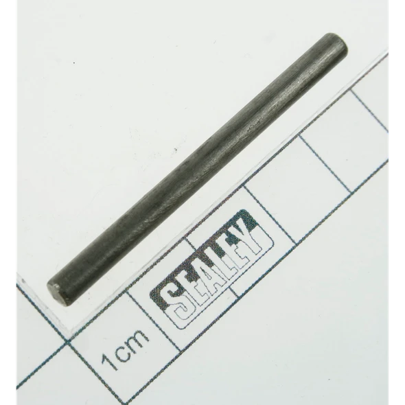 Sealey Pin