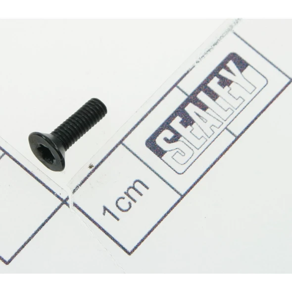 Sealey Screw