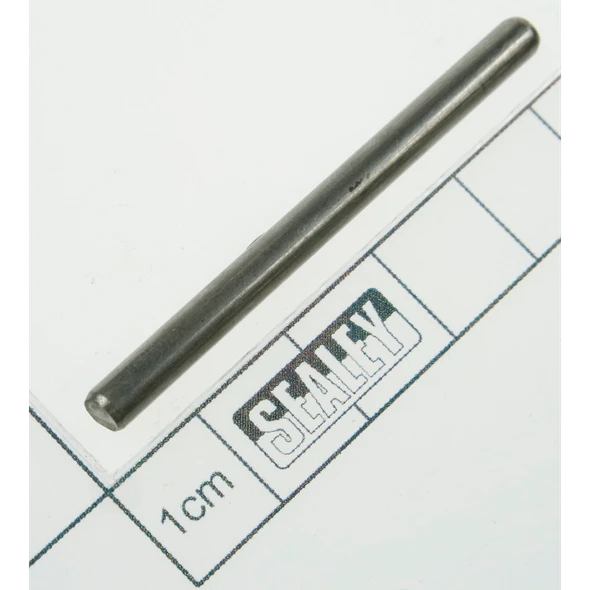 Sealey Pin