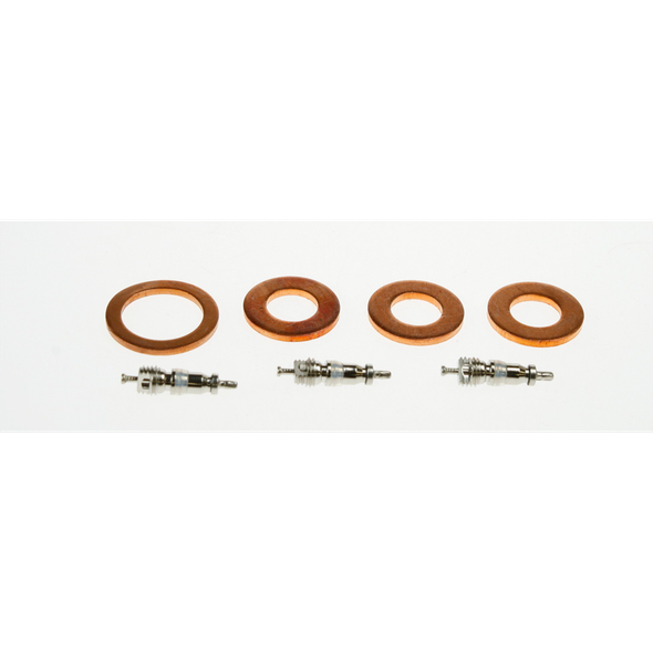 Sealey Valve & seal set