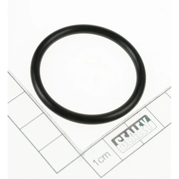 Sealey O-ring (lsa)