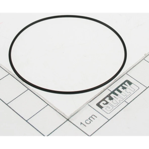 Sealey Oil seal (42x1.0)
