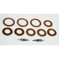 Sealey Copper valve / washer set VSE3155.46