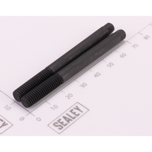 Sealey Extractor Base Screws (Set of 2)